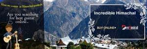 Buy Guitars online in Himachal Pradesh